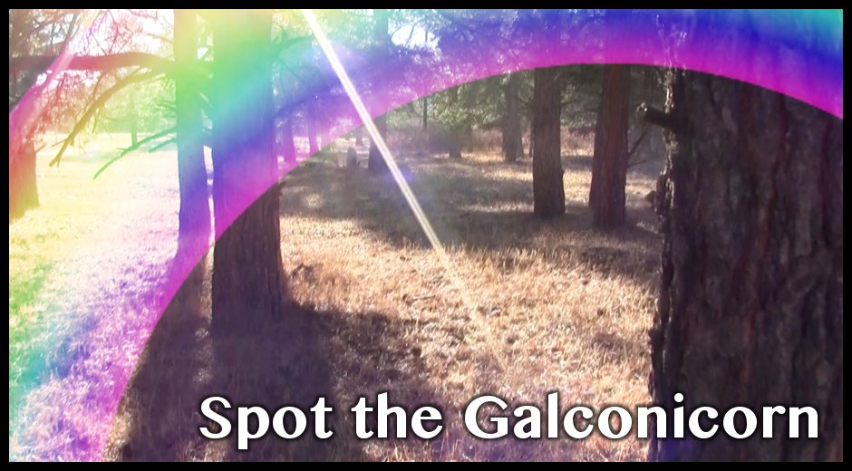 spot-galconicorn