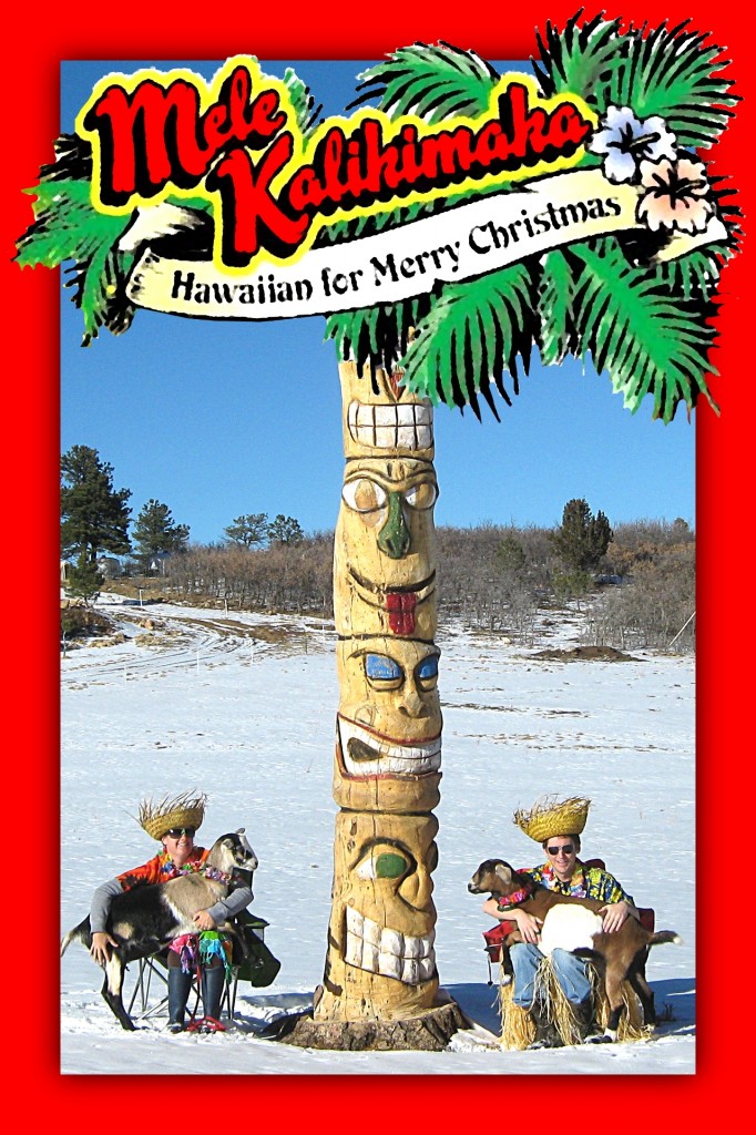 ChristmasCard2013-1280